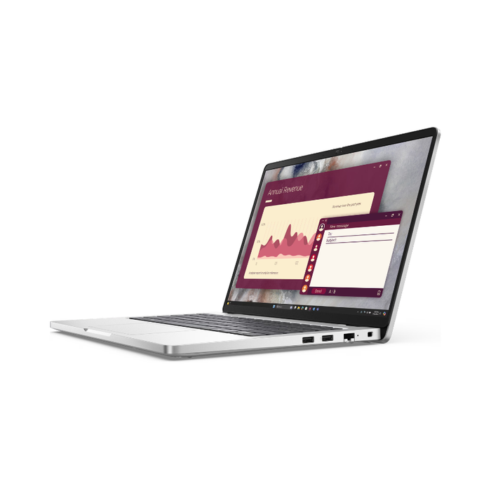 Dell Pro 14 14" (PC14250) Laptop 512GB/16GB RAM Windows 11 Pro Platinum Silver (New)